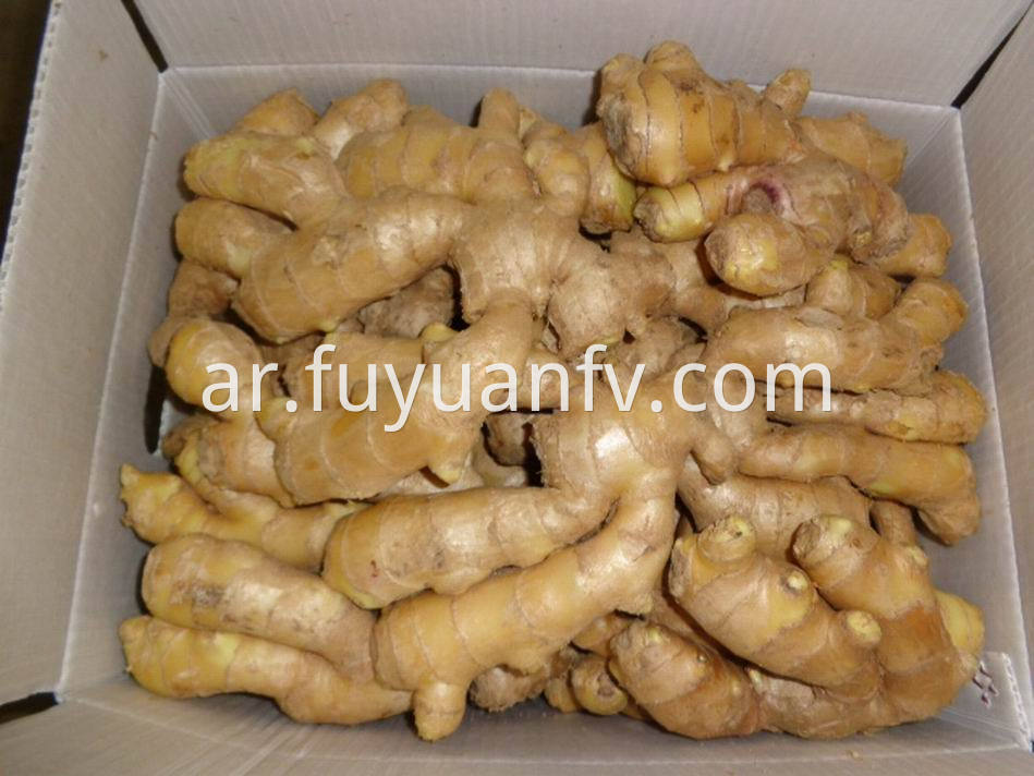 Air Dried Ginger25